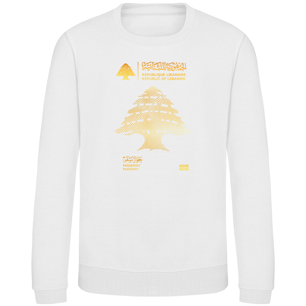 LEBANON PASSEPORT 1