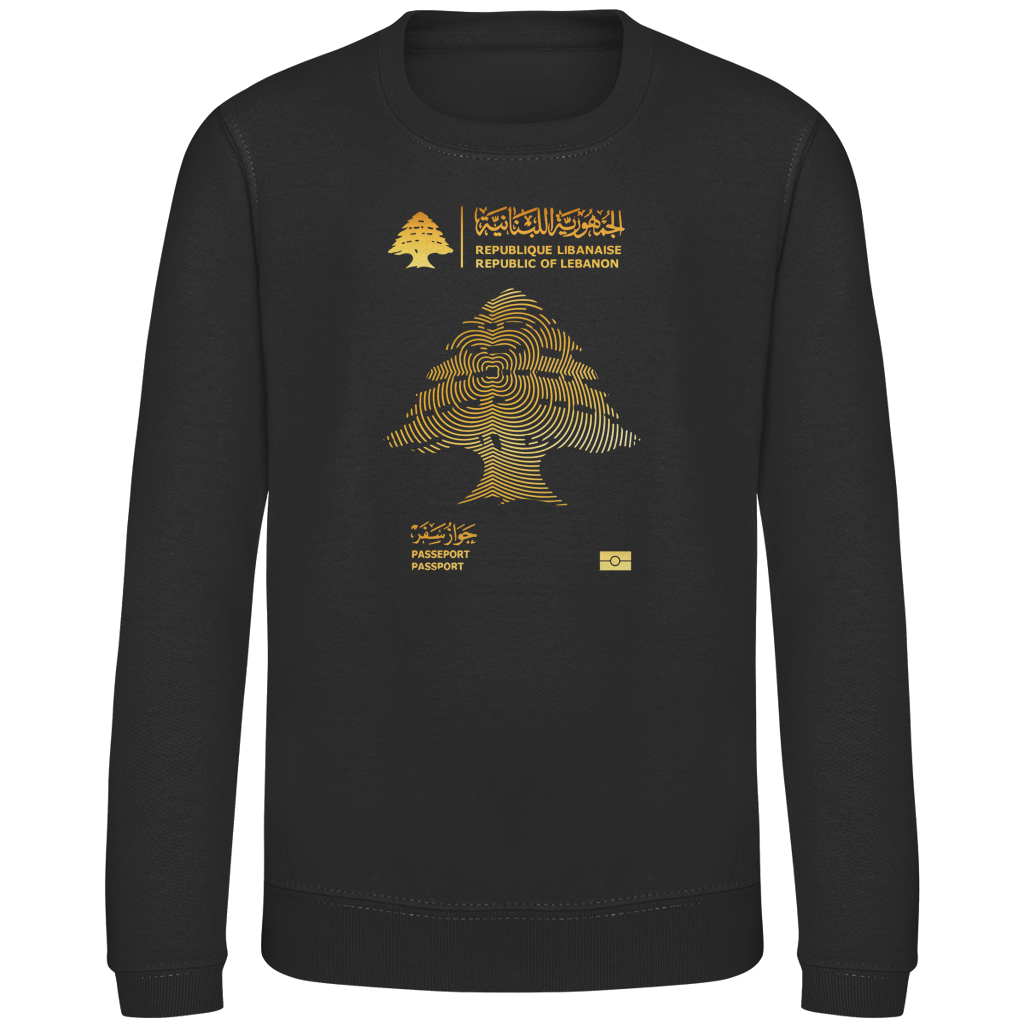LEBANON PASSEPORT 1