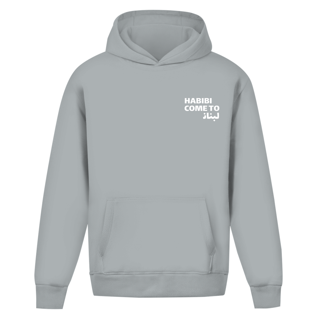 HABIBI COME TO BEIRUT