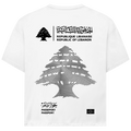 LEBANON PASSEPORT 3 (BACKPRINT)