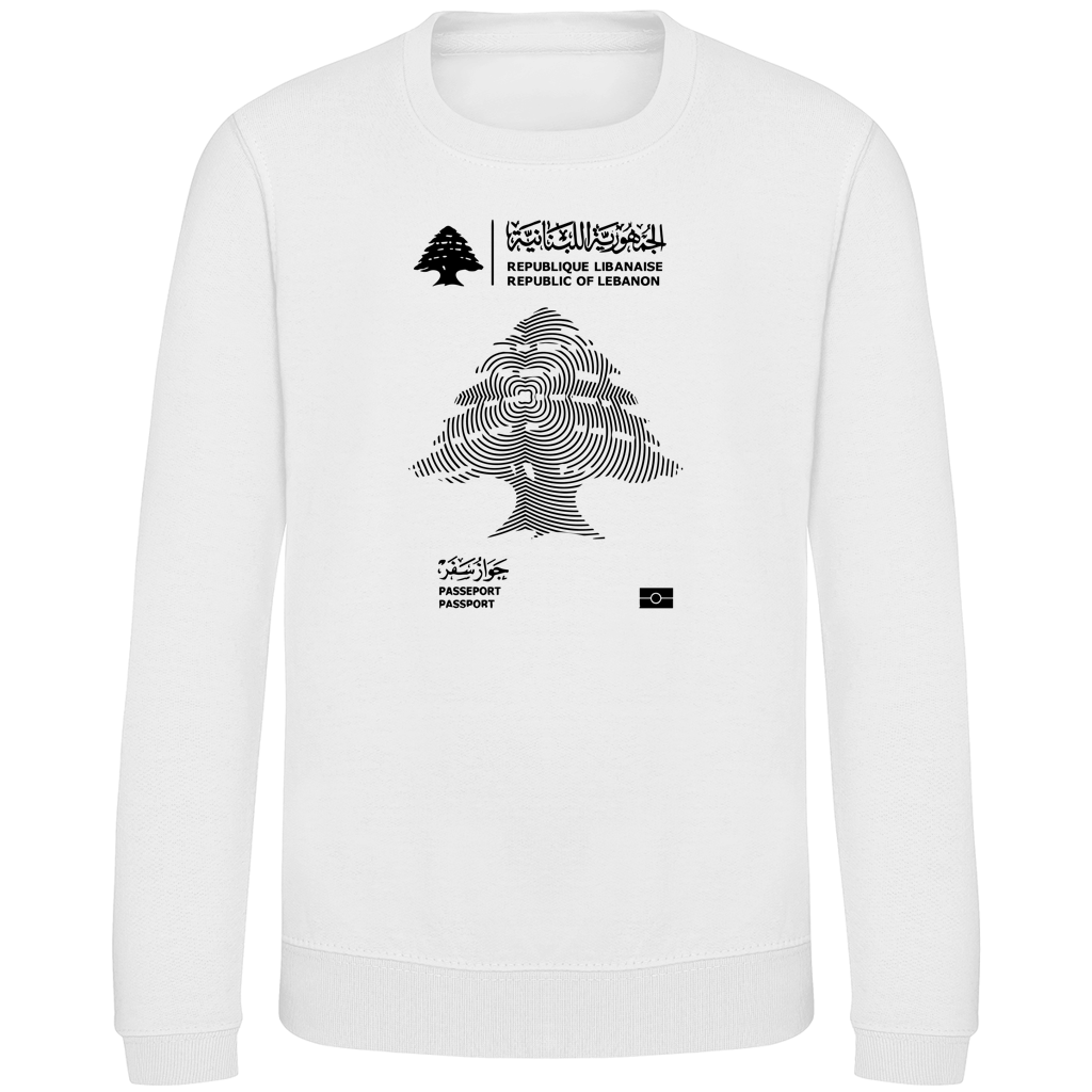 LEBANON PASSEPORT 3